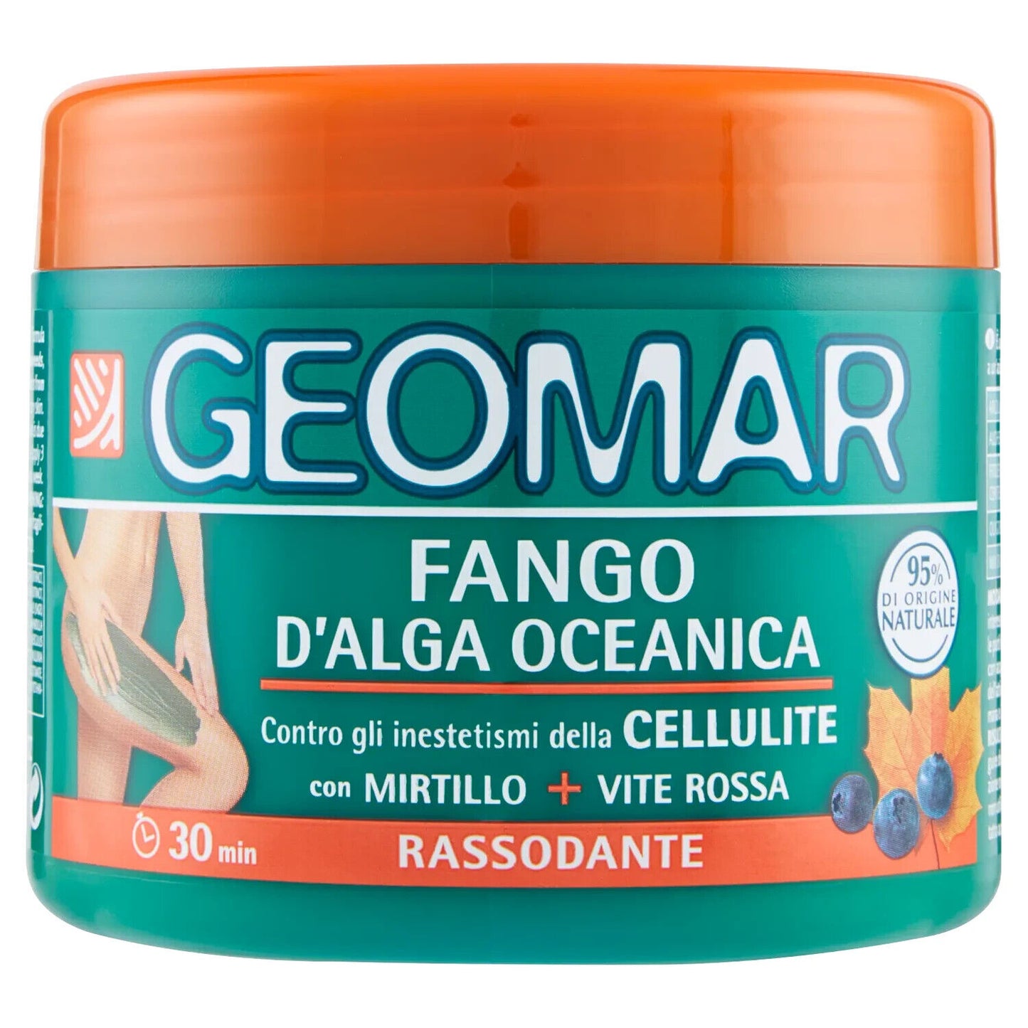 Geomar Meeresalgen Schlamm 650 g