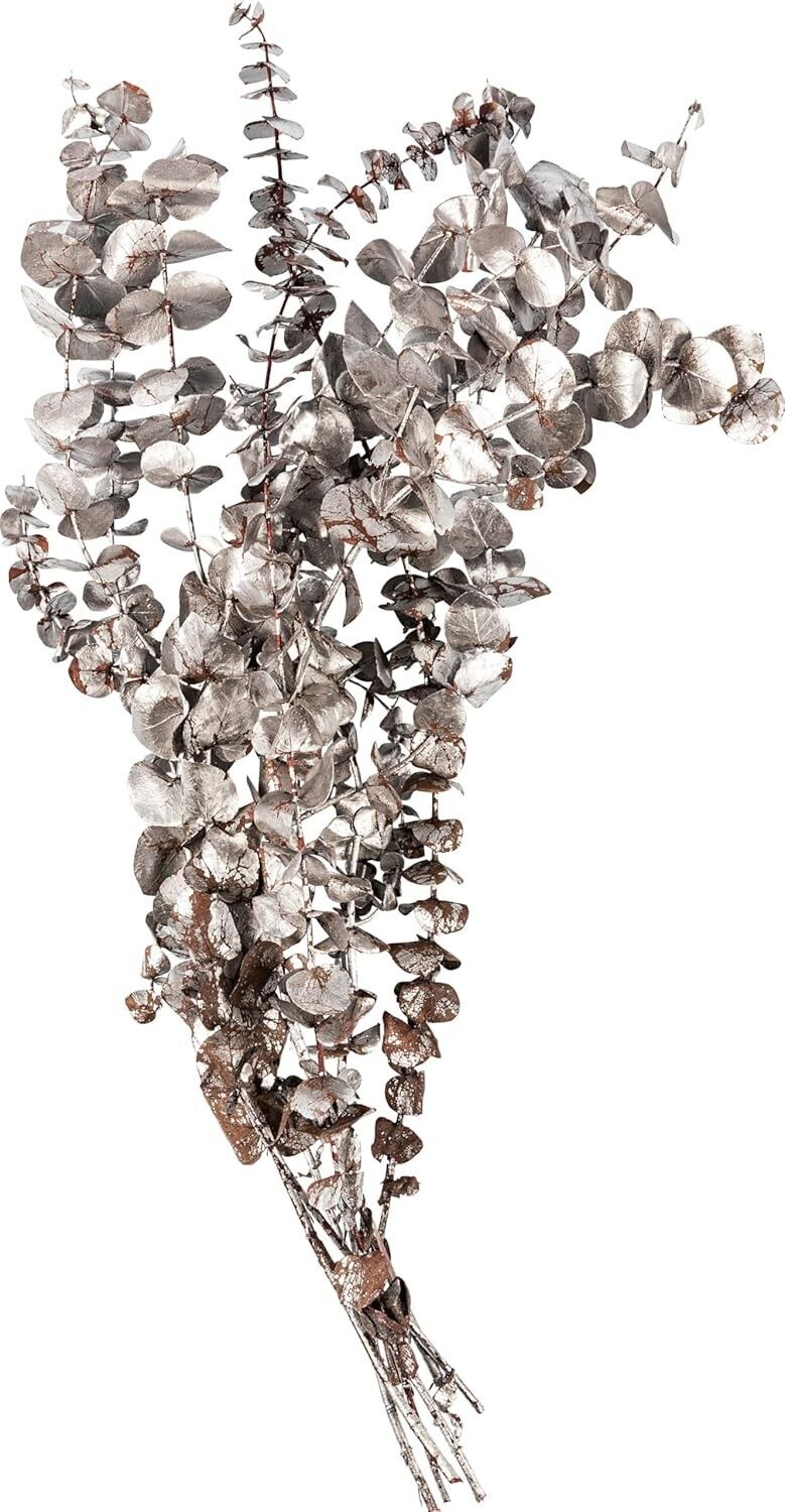 Eukalyptus Bund Silver Dollar (Farbe: Silber)