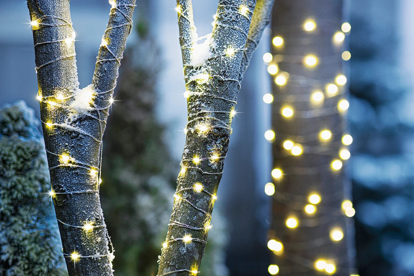 LED-Lichterkette "Classic Garden" 10m, 100 LEDs, 2er-Set Gartendeko Wohnungsdeko