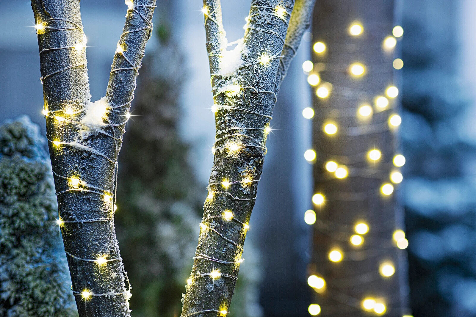 LED-Lichterkette "Classic Garden" 10m, 100 LEDs, 2er-Set Gartendeko Wohnungsdeko