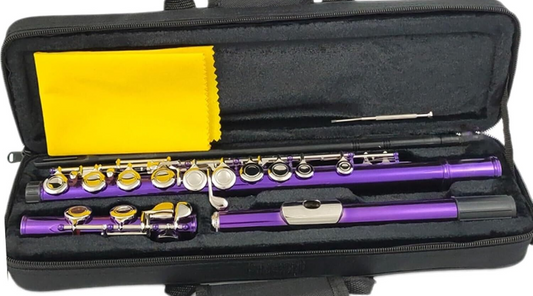 Eastar Flöte Flöte, 16 Geschlossene Löcher, C-Tasten, Instrument, Vernickeltes K
