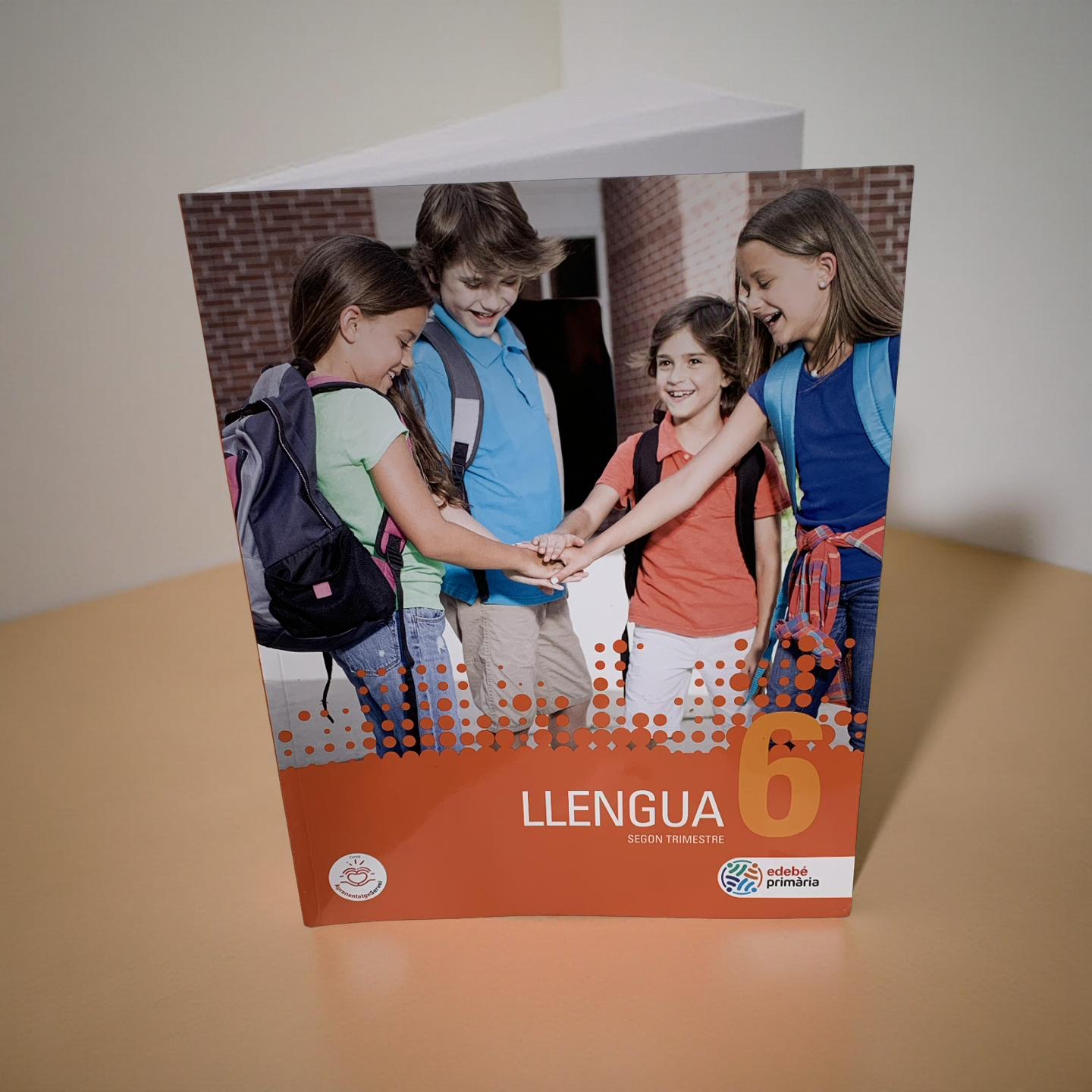 GUIA DIDACTICA LLENGUA 6 PRIMARIA