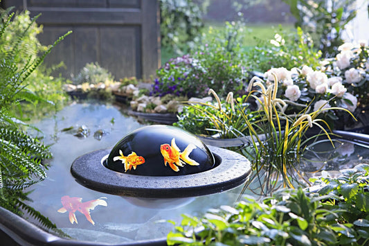 Fischkugel für den Teich Lupeneffekt Ø 30 cm einfache Installation