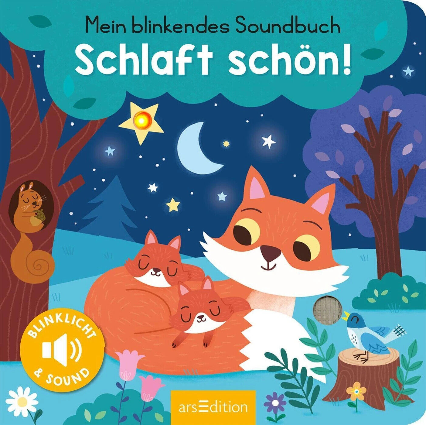 Mein blinkendes Soundbuch - Schlaft schön! Kinderbuch Vorlesen Gutenachbuch
