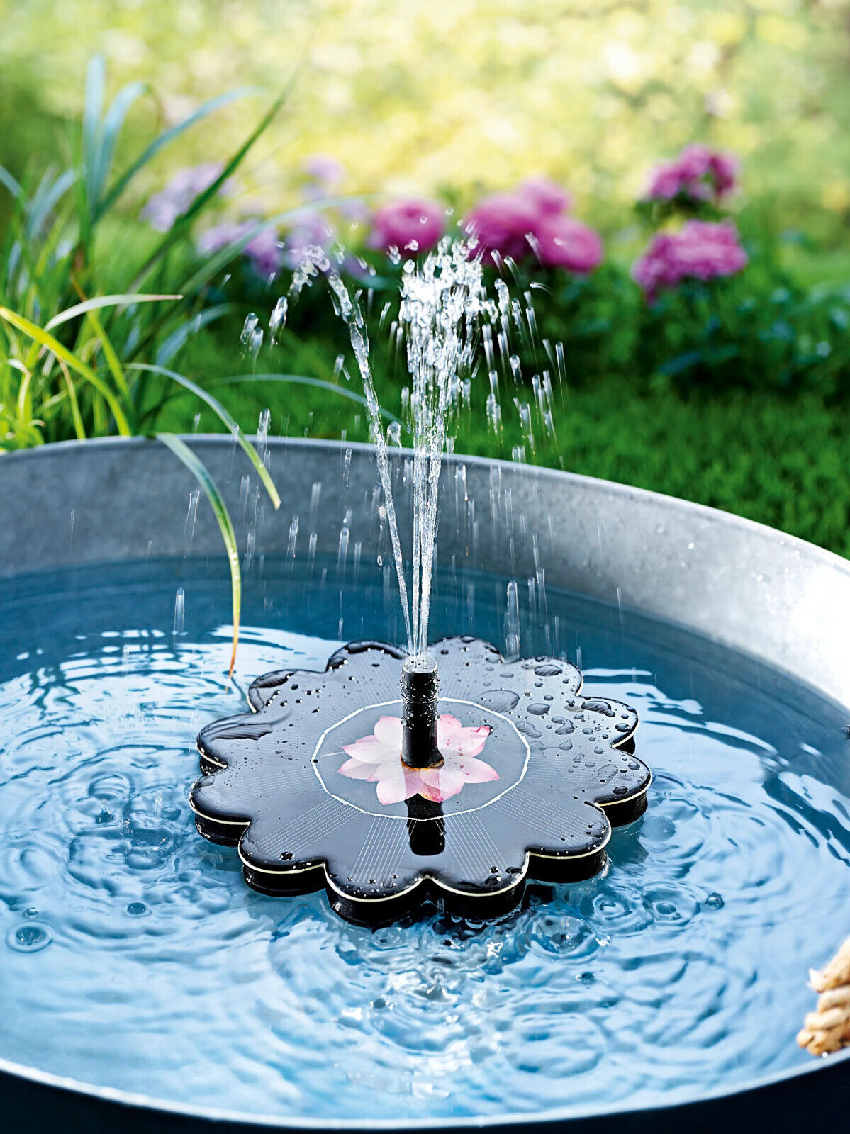 Solar-Wasserspiel Seerose für den Teich Wasserspiel Wasser Spiel
