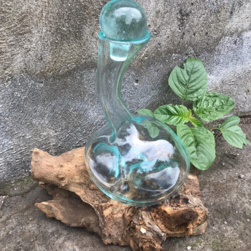 Dekoglas auf Holzwurzel Weinkaraffe Deko Dekoration Holz Windlicht Glas Dekoglas