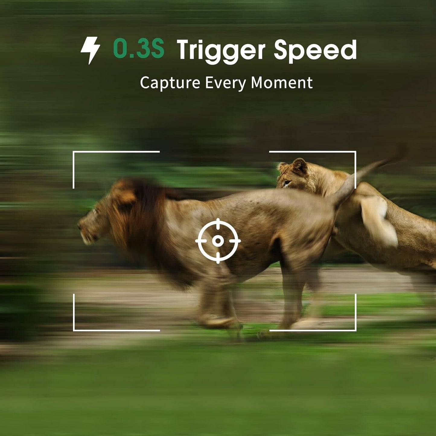 Wildkamera 16MP 1080P mit Bewegungsmelder Nachtsicht Wildtierkamera Outdoor 32GB