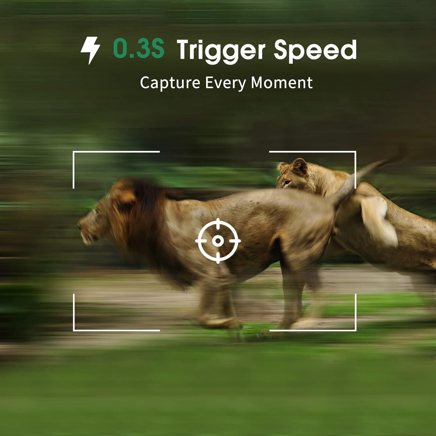 Wildkamera 16MP 1080P mit Bewegungsmelder Nachtsicht Wildtierkamera Outdoor 32GB