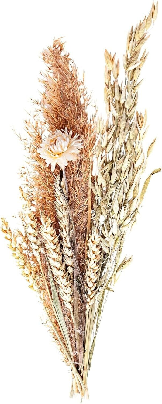 Trockenblumenstrauß "natural", ca. 30cm Wildhafer Kornblume Unikat