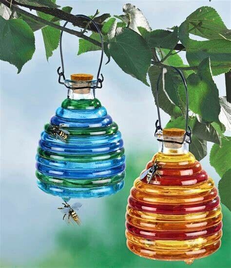 Wespenfalle Glas, 2er Set