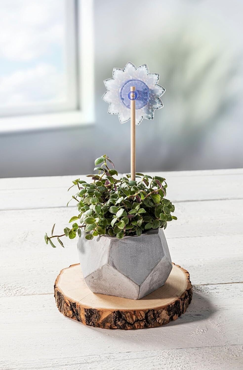 DIY Diamond Painting Dekostecker Blumen & Schmetterlinge 6er-Set