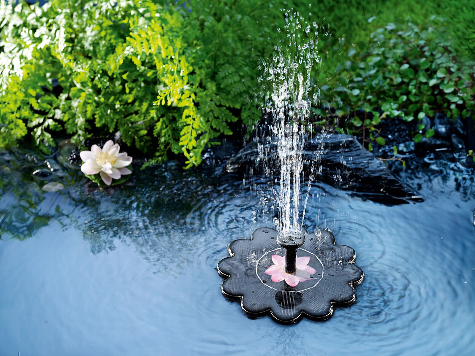 Solar-Wasserspiel Seerose für den Teich Wasserspiel Wasser Spiel