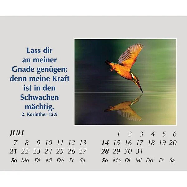 Hoffnung für jeden Tag 2024 Kalender mit Spürche Mini Kalender Reisekalender