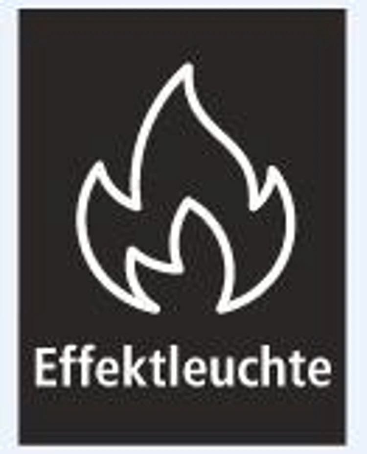 Solar-Gartenstecker "Fuego", 2er-Set LED Beleuchtung Deko Gartendekoration