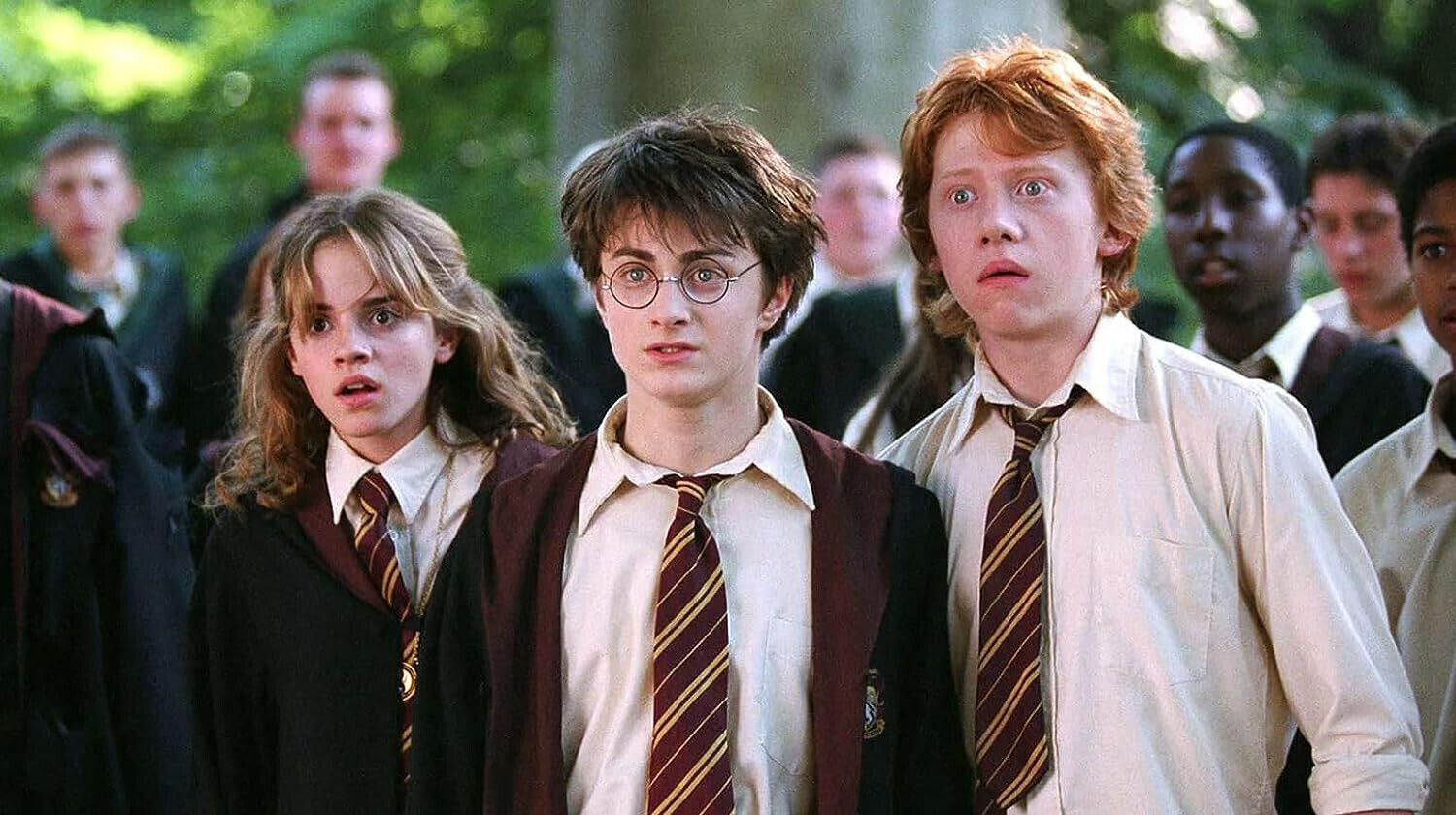 Harry Potter Phantastische Tierwesen 11 DVD Filme 3D Puzzle Französisch Englisch