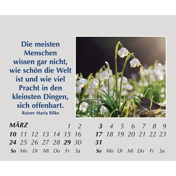 Hoffnung für jeden Tag 2024 Kalender mit Spürche Mini Kalender Reisekalender