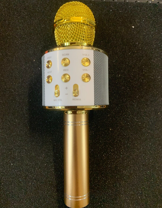 Karaoke Mikrofon Bluetooth Mikrofon