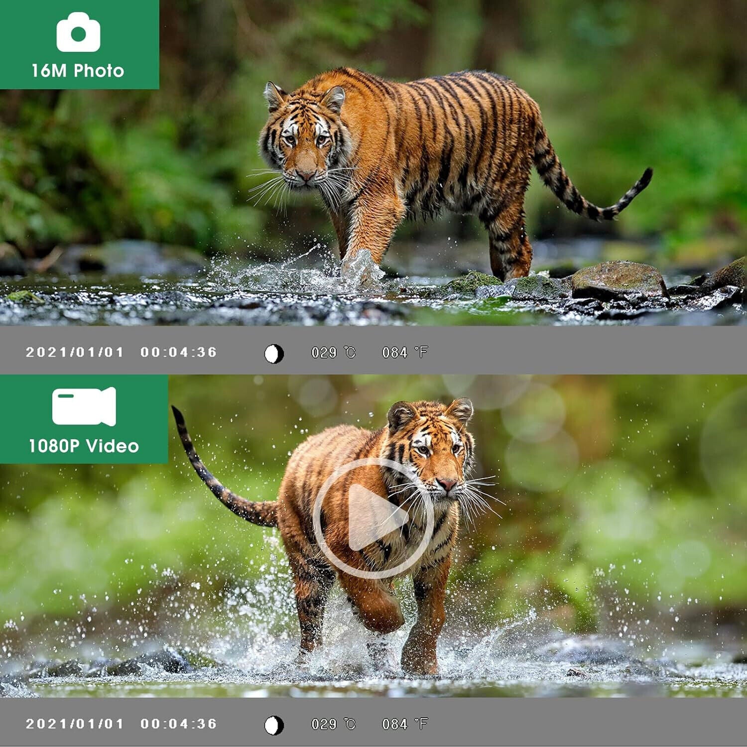 Wildkamera 16MP 1080P mit Bewegungsmelder Nachtsicht Wildtierkamera Outdoor 32GB