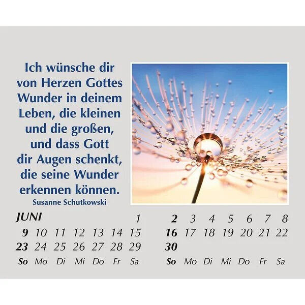 Hoffnung für jeden Tag 2024 Kalender mit Spürche Mini Kalender Reisekalender