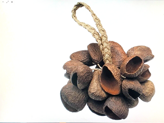TOCA TO804444 Seed Shell Shaker