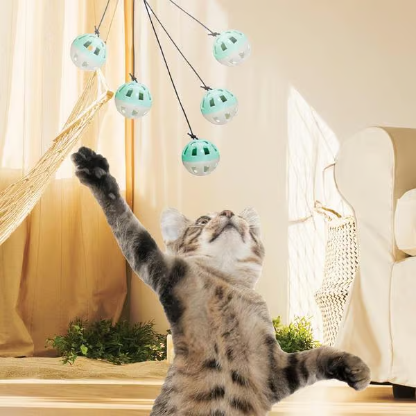 Mouse Bounce katztenspielzeug